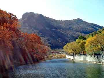 新澳门出彩综合开奖结果查询，汪鸿雁背景